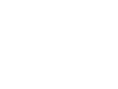 Audax Logo