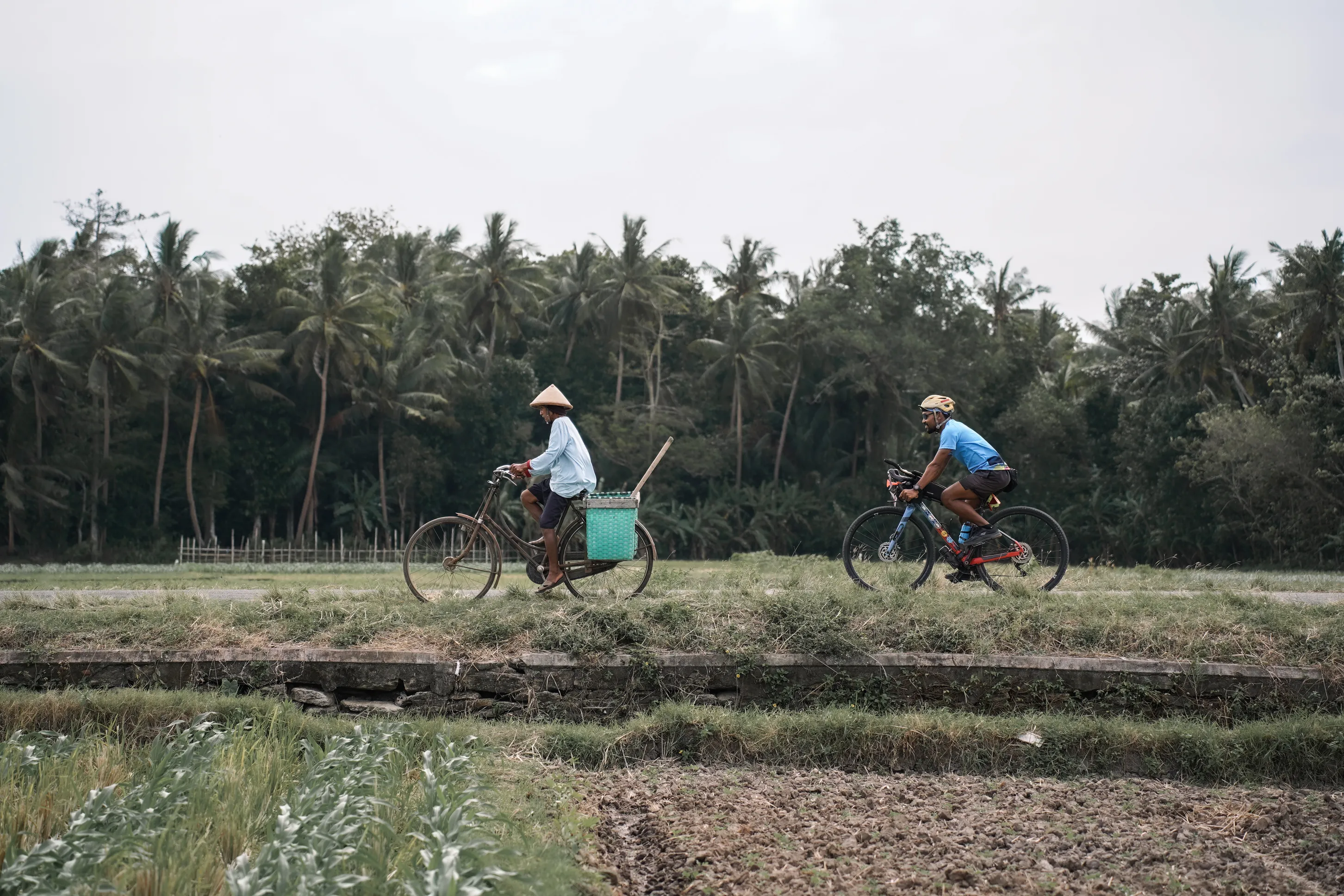 Gambar GRAVEL PARTY Marin bike